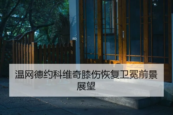 wen-wang-de-yue-ke-wei-qi-xi-shang-hui-fu-wei-mian-qian-jing-zhan-wang-2-339.jpg