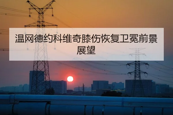 温网德约科维奇膝伤恢复卫冕前景展望